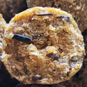 Selección de boilies solubles Black Moon de 20mm para carpfishing avanzado.